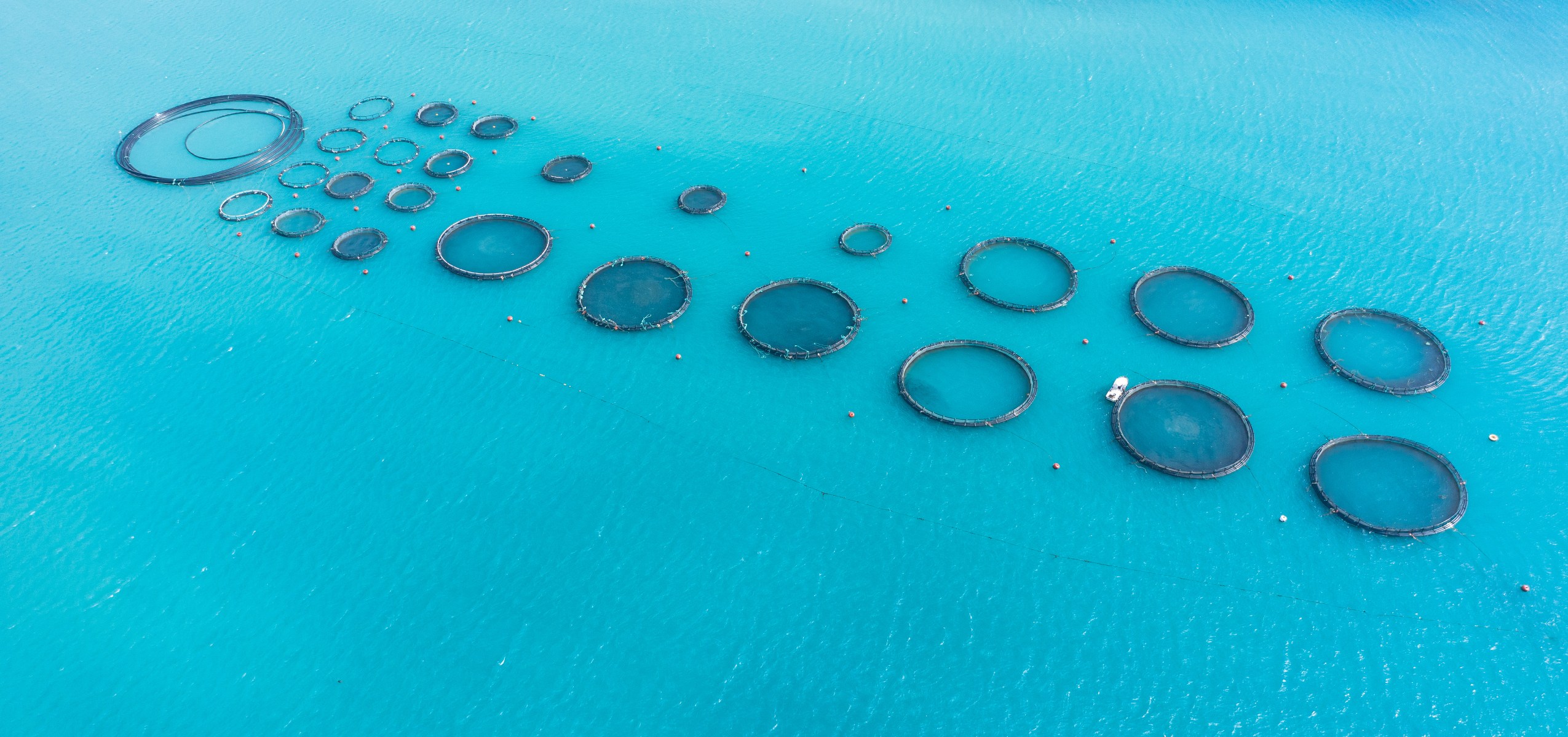 belice